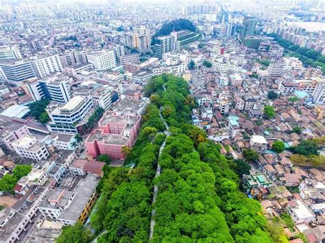 顺德大良华盖山栈道，繁华闹市的“绿肺”|华盖山|顺德|胡祖信_新浪新闻