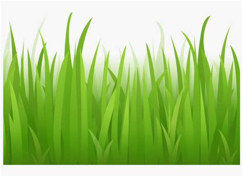 Grass Clipart Photo Gallery - Cartoon Grass Transparent Background Transparent PNG - 800x600 ...