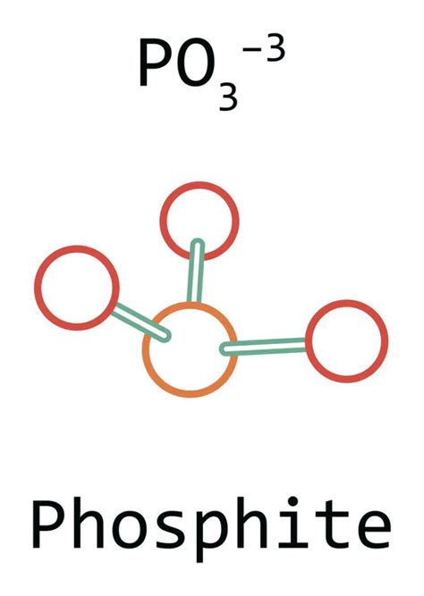 Phosphate vs Phosphite: Let's Know about Both