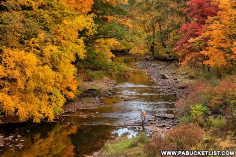 The Ultimate Somerset County Fall Foliage Driving Tour