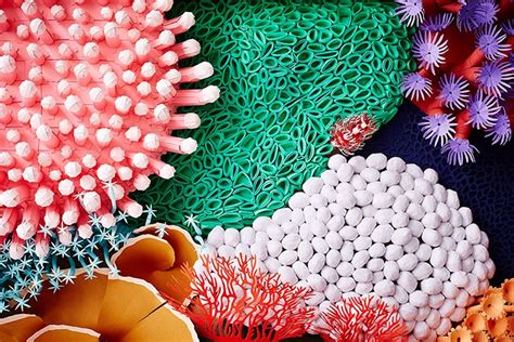 Vibrant Paper Art Sculpture Captures the Diversity of a Coral Reef