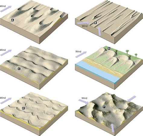 a-barchan dune b-longitoidinal dune c-transvers dune d- parabolic e-barchanoid f-star | Geology ...