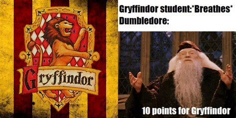 Harry Potter: 10 Memes That Perfectly Sum Up Gryffindor