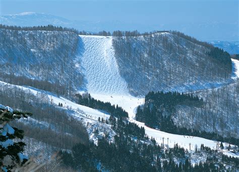 Zao Onsen Ski Holiday Photo Gallery » Deep Powder Tours