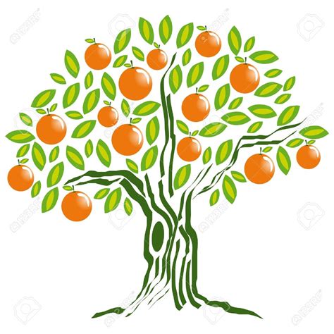 Orange tree clipart 20 free Cliparts | Download images on Clipground 2024