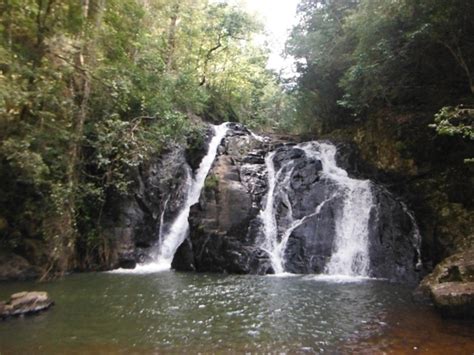 Cairns Rainforest Tours, Waterfalls & Atherton Tablelands Tour