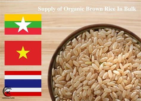 Organic Brown Rice In Bulk: Everything You Need To Know | K-Agriculture