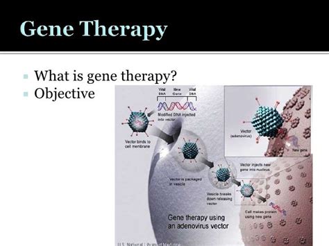 Gene Therapy For Cystic Fibrosis