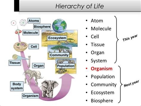 Intro to Life Science & Biology