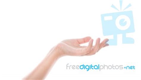 Woman Hand With Palm Up Gesture Stock Photo - Royalty Free Image ID 10097496