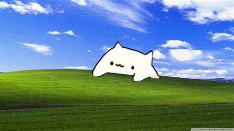 Bongo Cats, Bongo Cat Meme HD wallpaper | Pxfuel