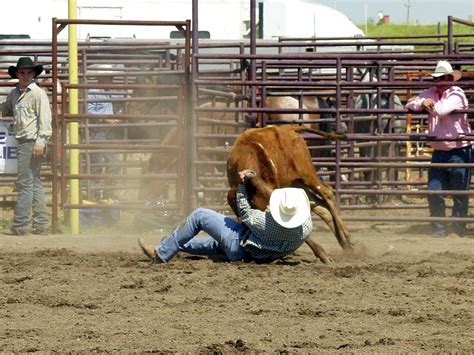 Deleted Scenes - Steer Wrestling - Detail