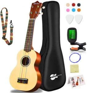 Best Ukulele Brands & Reviews For Beginners-My Music Express