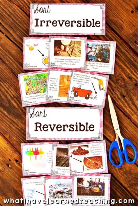 Reversible and Irreversible Changes Science Station Sort