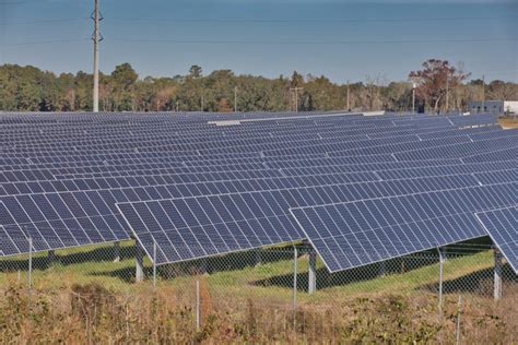 Florida Solar Panel Incentives: Rebates, Tax Credits, Financing and More - CNET