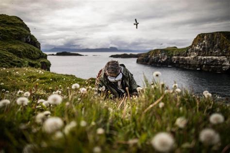 In Pictures: Declining puffin population in Iceland and Atlantic ...