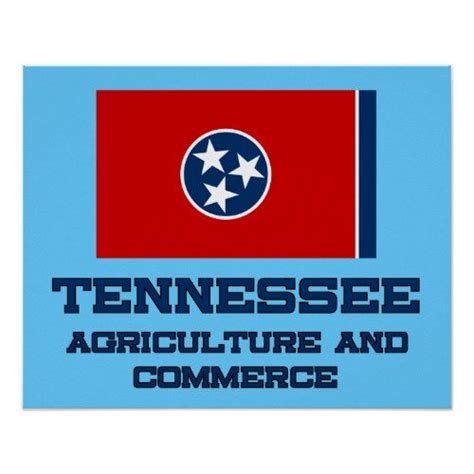 Tennessee State Flag and Motto Poster | State flags, Tennessee state ...