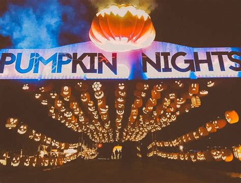 A Glowing Pumpkin Patch Is Coming To Dallas This Fall - Narcity Pumpkin Farm, Pumpkin Theme ...