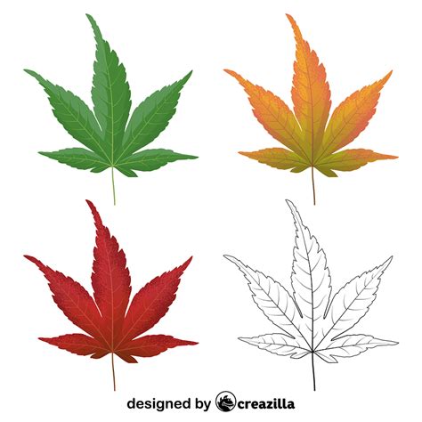 Japanese maple leaves vector. Free download. | Creazilla