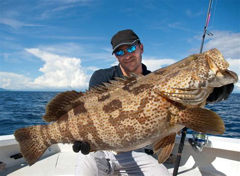 Experience Our Fishing Charter in Miami | Miami Inshore Fishing