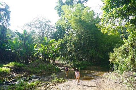 Salto Curet - An Off-The-Beaten-Path Waterfall Near Maricao