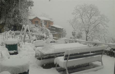 mussoorie-snowfall-3 - Himalayan Buzz