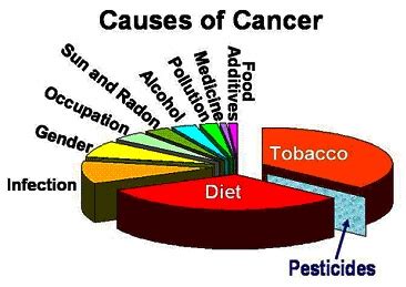 Causes-of-Cancer | Genetic Literacy Project