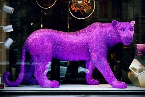 a purple cat statue in a window display