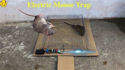 Wow Primitive Technology : Electric Mouse Trap/Best Trap Homemade Work ...