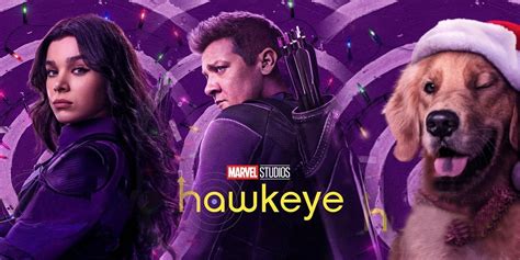 Hawkeye Cast and Character Guide: Who's Who In the New MCU Series?