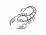 Free Printable Scorpion Coloring Page  Pages sketch template