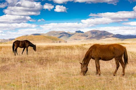 100+ Lesotho Climate Stock Photos, Pictures & Royalty-Free Images - iStock