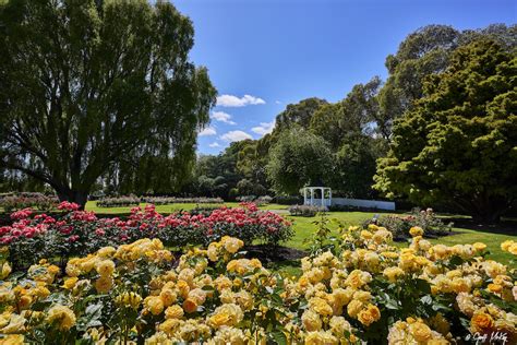 12 of the Best Things to Do in Palmerston North - New Zealand Travel Tips