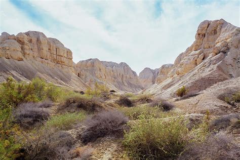 Rugged Landscape In The Wilderness Of by Reynold Mainse / Design Pics