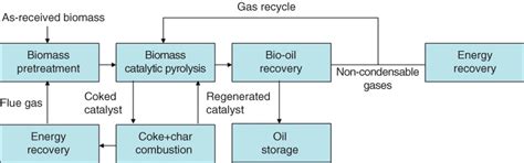 Biomass catalytic pyrolysis: process design and economic analysis ...