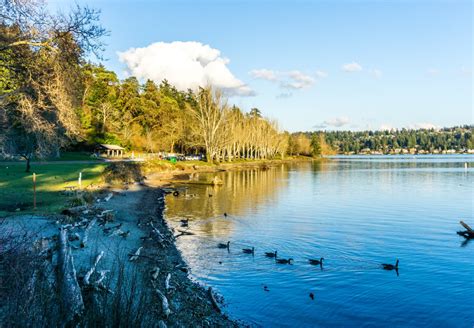 The 7 Most Beautiful Seattle Parks | CuddlyNest