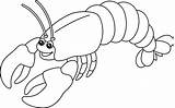 Lobster Coloring Para Colorir Drawing Desenho Camarao Kids Clipart  sketch template