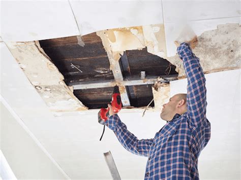 Looking For Water Damage Repair Near Me | Kings Of Steam