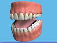 Oral hygiene for all - uSmile Dental Practice - Dentist in Porthcawl