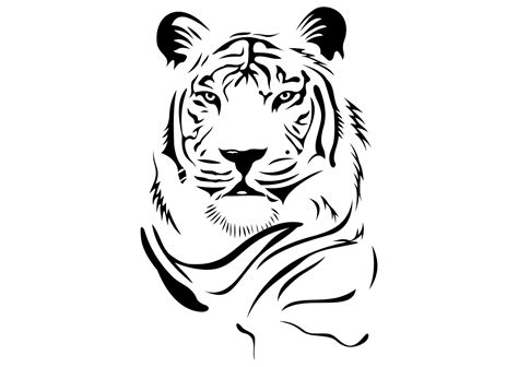 Download Gambar Kepala Harimau Vector CorelDraw (CDR) - RyGraphic Download Vektor Logo Corel ...