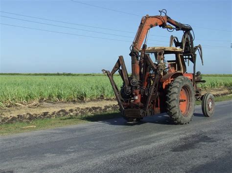 Sugar cane tractor stock image. Image of cane, agriculture - 7455863