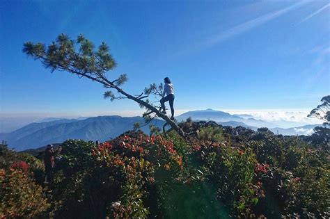 Seven great hiking destinations in the Cordilleras | ABS-CBN News