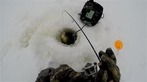 Crappie Ice Fishing Secrets- Keep Searching To Find Schools Of Crappies ...