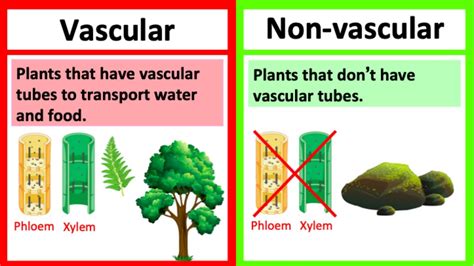 Examples Of Vascular Clamps - Design Talk