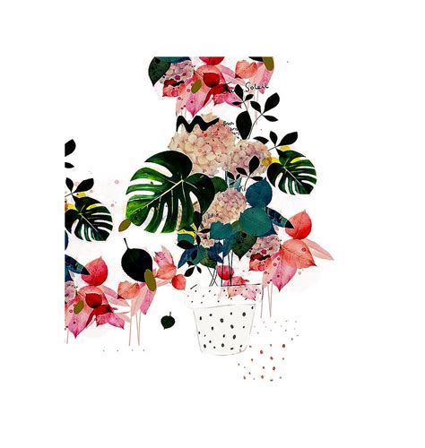 flower digital art illustrations - Andria Kressler