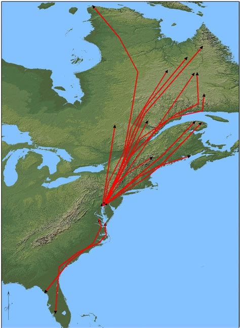 Tracking bald eagle movements throughout the Chesapeake and beyond ...