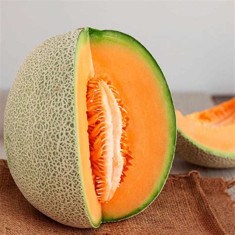 Cantaloupe