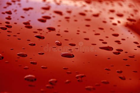 Rain Drops on a Car Engine Hood Stock Photo - Image of full, framed ...