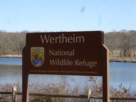 Wertheim National Wildlife Refuge - Boating - Shirley, NY - Yelp