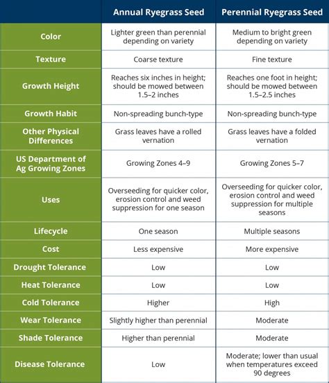 Annual vs. Perennial Ryegrass Seed - Batang Tabon